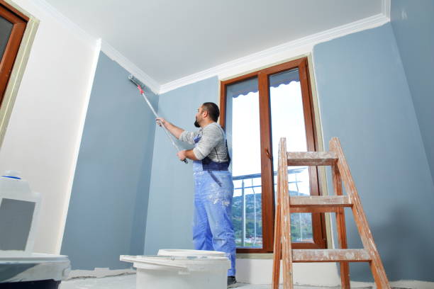 Best Mold Damage Restoration  in Fennimore, WI