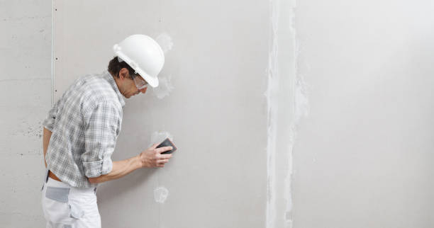 Mold Remediation for Rental Properties in Fennimore, WI