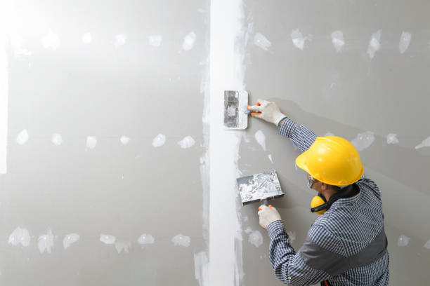 Best Post-Construction Mold Inspection  in Fennimore, WI