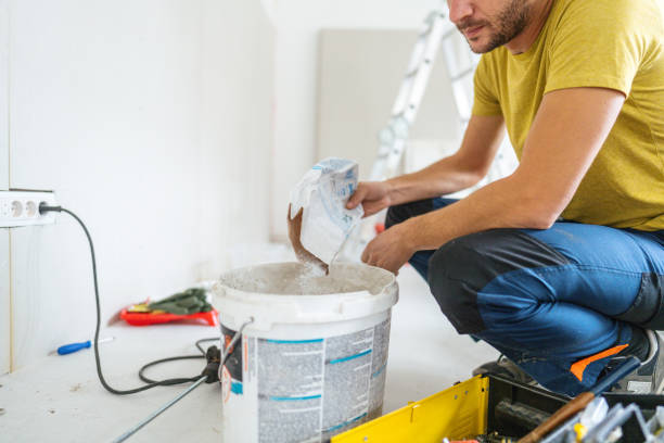 Best Black Mold Removal  in Fennimore, WI