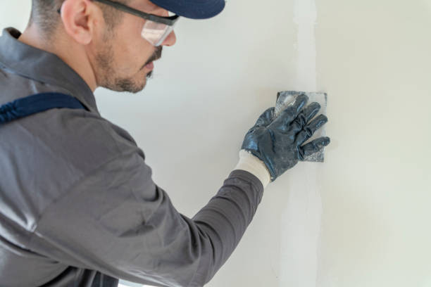 Best Mold Remediation for Rental Properties  in Fennimore, WI
