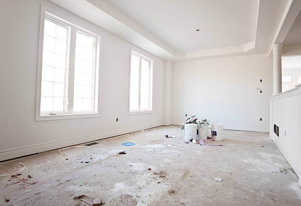 Best Attic Mold Removal  in Fennimore, WI