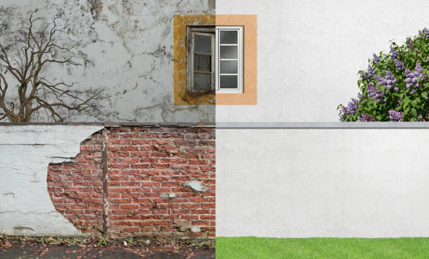  Fennimore, WI Mold Removal Pros