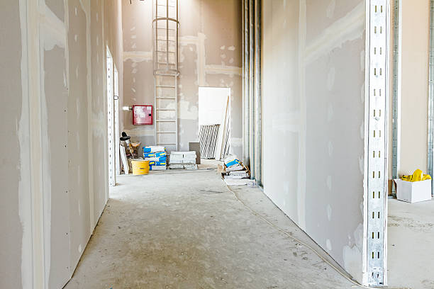 Trusted Fennimore, WI Mold Removal Experts