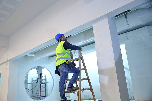 Best Crawl Space Mold Remediation  in Fennimore, WI